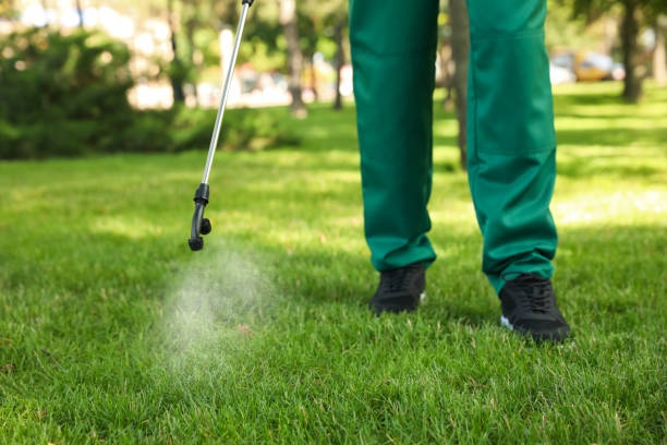 Best Emergency Pest Control  in Vergennes, VT