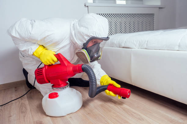 Reliable Vergennes, VT Pest Control Solutions